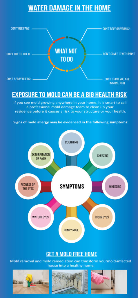 why mold is dangerous